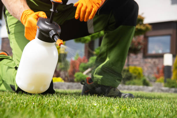 Best Flea Control Services  in Ewa Beach, HI
