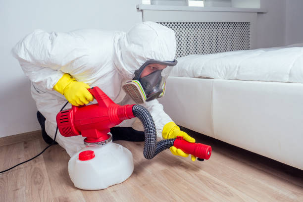 Best Pest Control Treatment  in Ewa Beach, HI