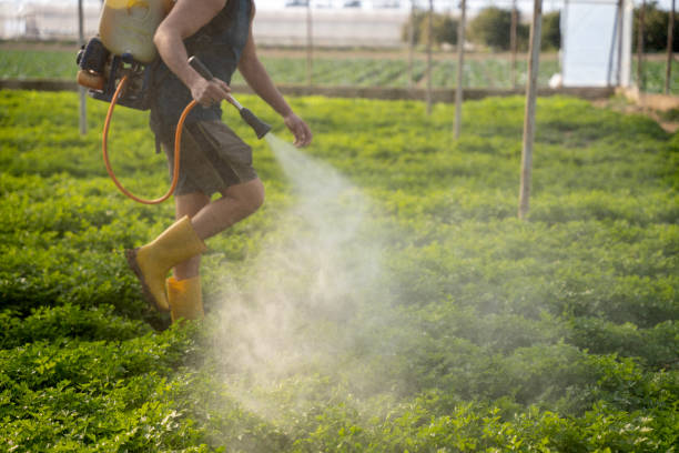 Reliable Ewa Beach, HI Pest Control Solutions