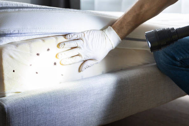 Best Best Pest Control Companies  in Ewa Beach, HI